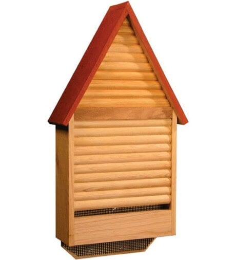 Bat Lodge