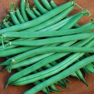 Bean, Provider