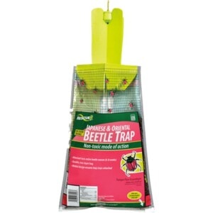 Japanese Beetle Trap