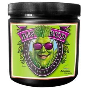 Big Bud Powder
