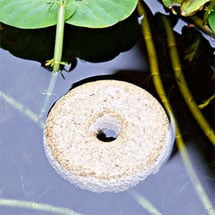 Biopesticides
