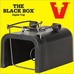 Black Box Gopher Trap