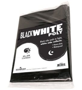 Black & White Poly