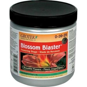 Blossom Blaster