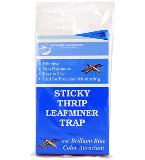 Blue Sticky Traps (5pk) | Planet Natural