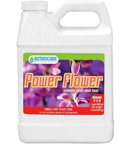Power Flower
