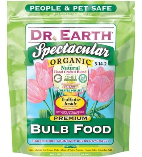 Organic Bulb Food