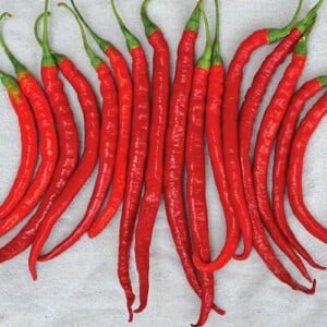 Cayenne Pepper Seeds