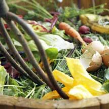 Composting