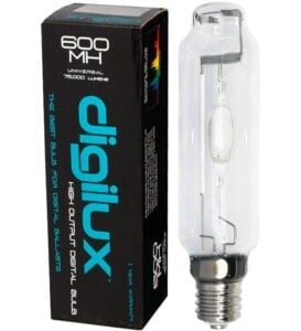 Digilux Bulbs