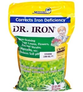 Dr. Iron