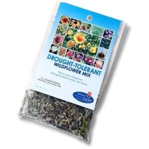 Drought-Tolerant Wildflower Mix