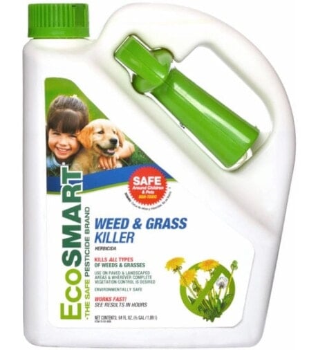 Organic Weed Killer