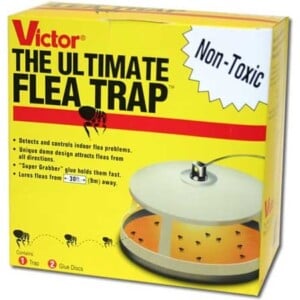 The Ultimate Flea Trap