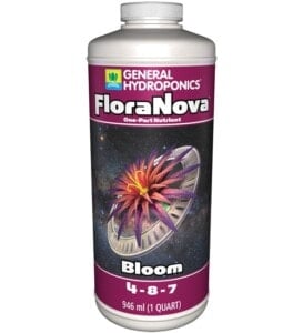 FloraNova Bloom