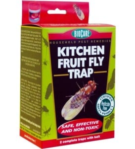 Fruit Fly Trap