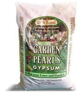 Gypsum