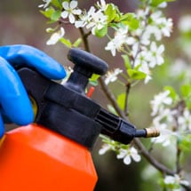 Sprayers & Applicators