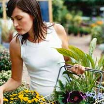 Garden Supplies
