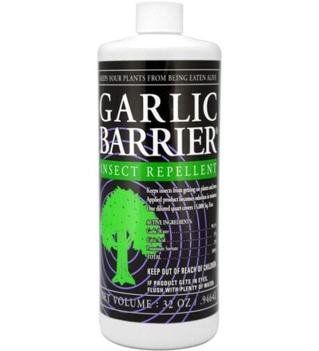 Garlic Barrier Insect Repellent