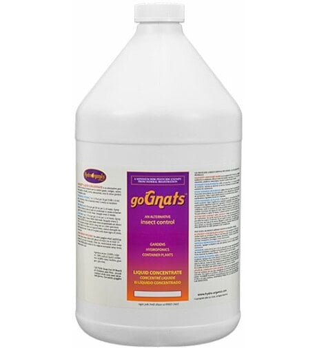 GoGnats