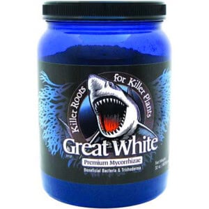 Great White Mycorrhizae