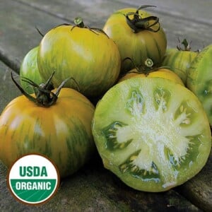 Tomato, Green Zebra
