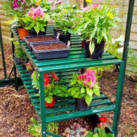 Halls Greenhouse Bench (Classic Green)