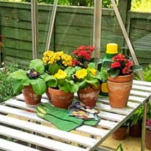 Benches & Shelves