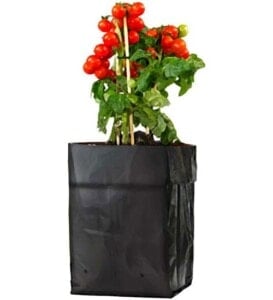 Grow Bags