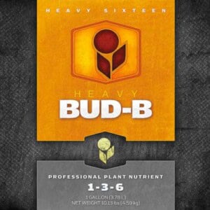HEAVY 16 Bud B