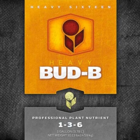 HEAVY 16 Bud B