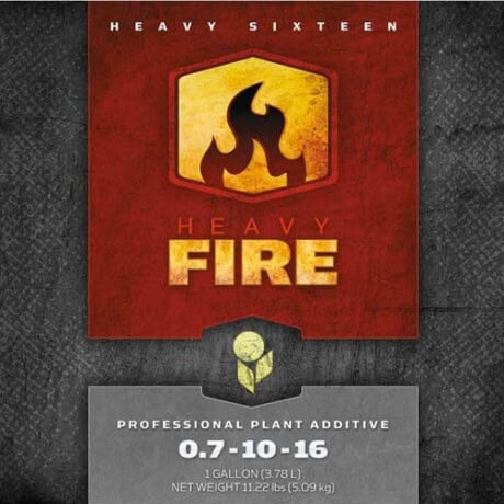 Heavy Fire