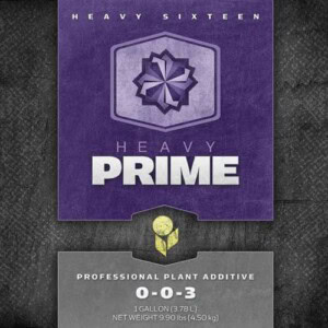 HEAVY 16 Prime
