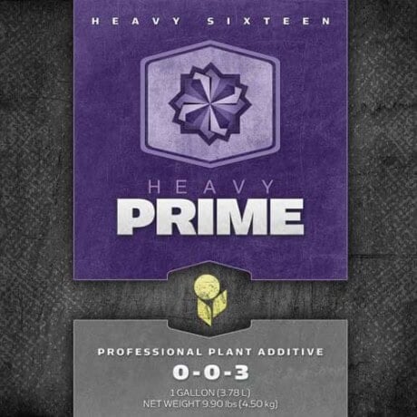 HEAVY 16 Prime