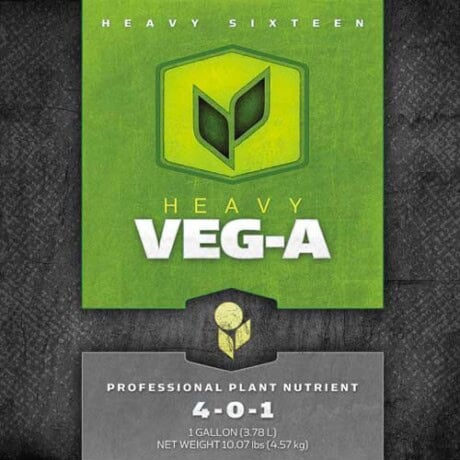 HEAVY 16 Veg A