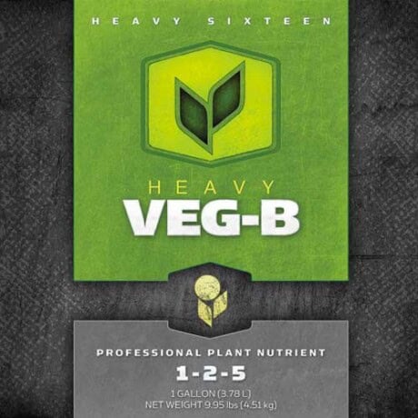 HEAVY 16 Veg B