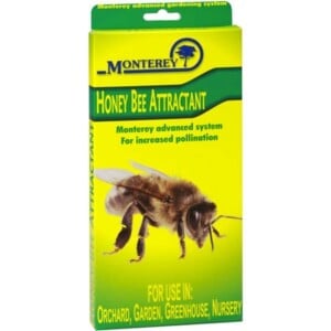 Honey Bee Attractant