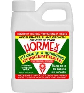 Hormex Rooting Concentrate