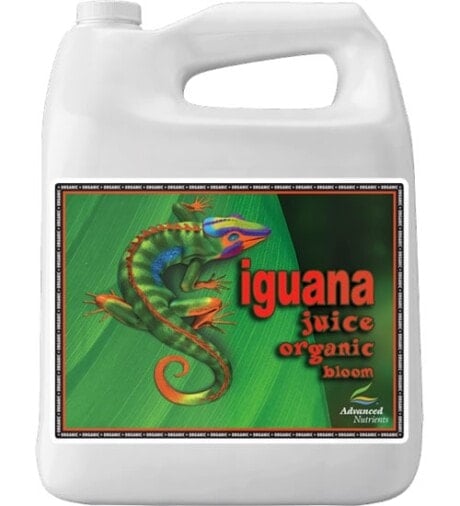 Organic Iguana Juice Bloom (OIM)