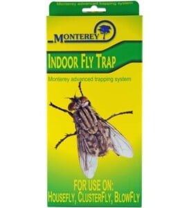 Indoor Fly Trap
