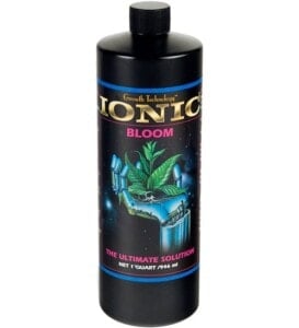 Ionic Bloom