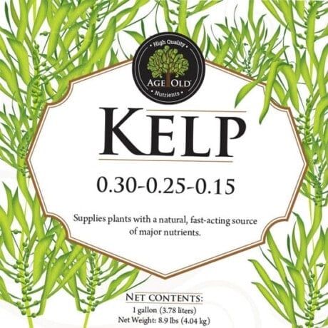 Age Old Kelp