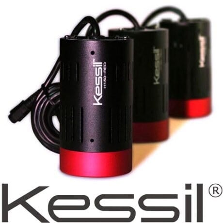 Kessil LED Grow Light