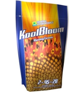 Kool Bloom
