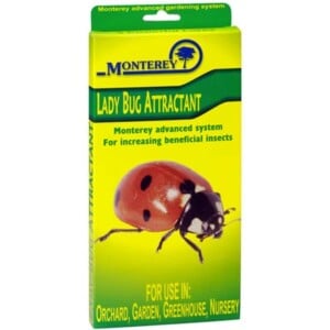 Lady Bug Attractant
