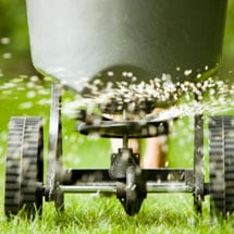 Lawn Fertilizer