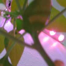 LED Kits