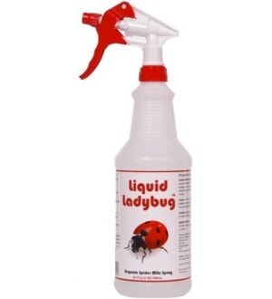 Liquid Ladybug Spider Mite Spray (32oz) | Planet Natural