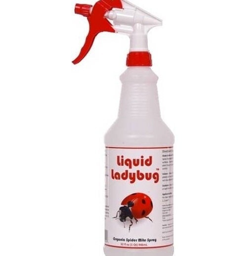 Liquid Ladybug Spider Mite Spray (32oz) | Planet Natural